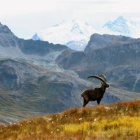 Parc national de la Vanoise