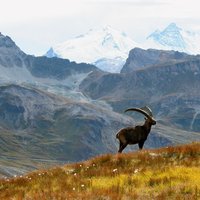 Parc national de la Vanoise