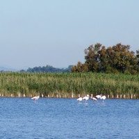 La Camargue