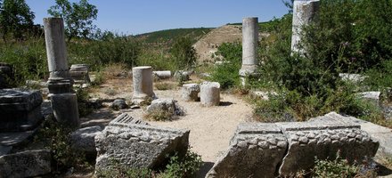 Early Synagogues in the Galilee