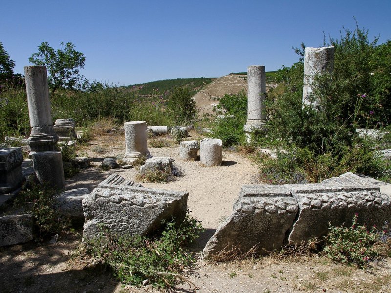 Early Synagogues in the Galilee by Walter