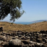 Sea of Galilee 