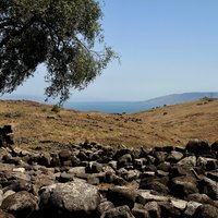 Sea of Galilee 