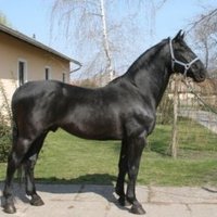 State Stud-Farm Estate of Mezöhegyes