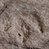 Sites of fossilized dinosaurs 