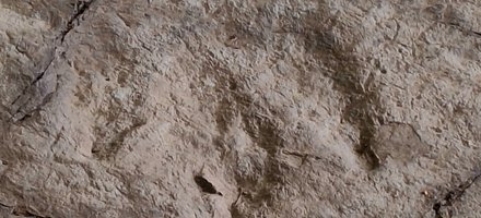 Sites of fossilized dinosaurs 