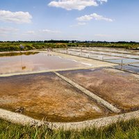 Marais salants de Guérande