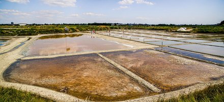 Marais salants de Guérande
