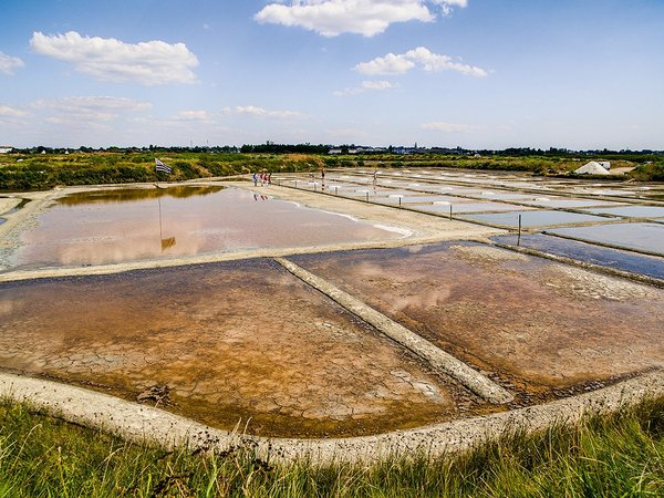 Marais salants de Guérande