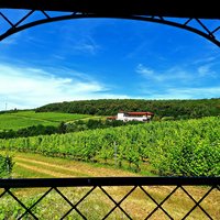 Tokaj Wine Region