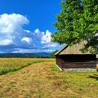 Original Meadow - Pasture Sites of Slovakia by Roman Bruehwiler