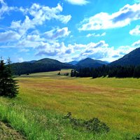 Original Meadow - Pasture Sites of Slovakia