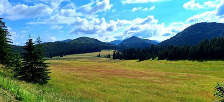 Original Meadow - Pasture Sites of Slovakia