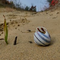 Deliblato Sands by Roman Bruehwiler