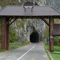 Tara National Park