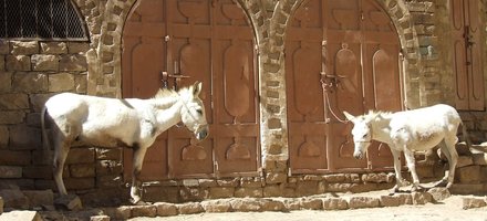 The Historic City of Thula