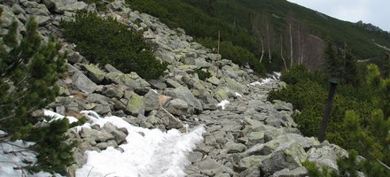 Natural Reserves of Tatras Mountain