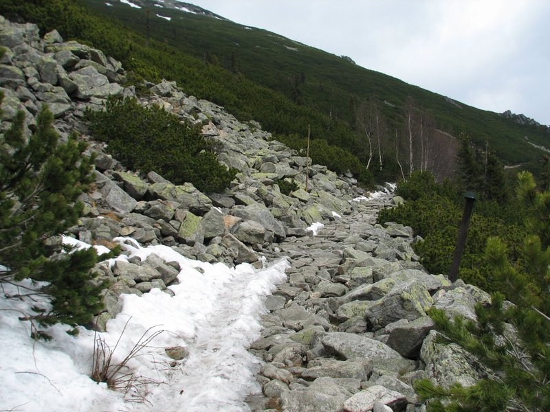 Natural Reserves of Tatras Mountain by Els Slots