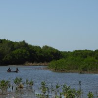 The Manglares Route of Pacific Coast of Guatemala by Roman Bruehwiler