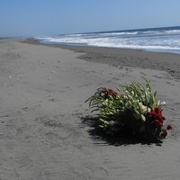 The Manglares Route of Pacific Coast of Guatemala