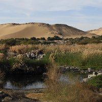 Bird Migration Routes