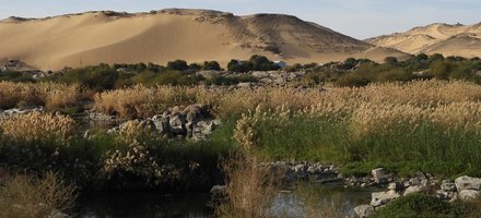 Bird Migration Routes