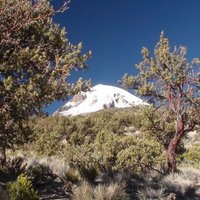 Photo in the Public Domain