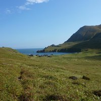 The Commander Islands (Comandorsky State Nature Re by Roman Bruehwiler