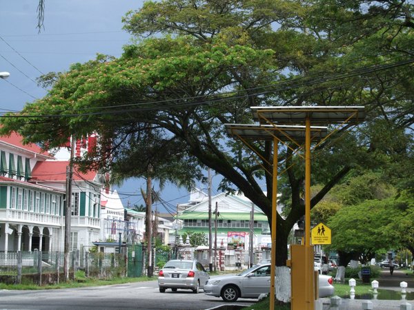 Georgetown's Plantation Structure and Historic Bui by Els Slots