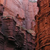 Photo in the Public Domain