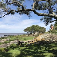 Insular area and bay of Colonia del Sacramento