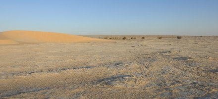Site à Hominidés anciens du Djourab