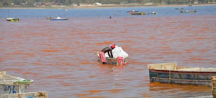Le Lac Rose