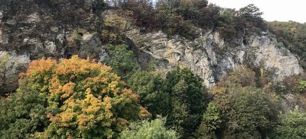 Caves of the Buda Thermal Karst System