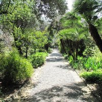 Photo in the Public Domain