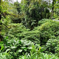 Parc National de la Serra da Bocaina 