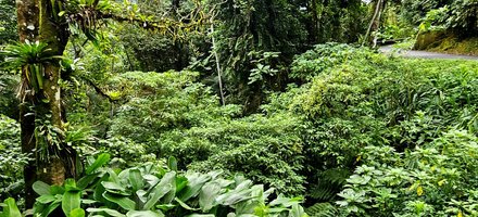 Parc National de la Serra da Bocaina