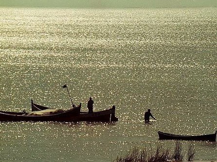 Photo in the Public Domain by 27for27