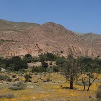 Mosquée de Tinmel