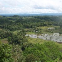 Chocolate Hills Natural Monument