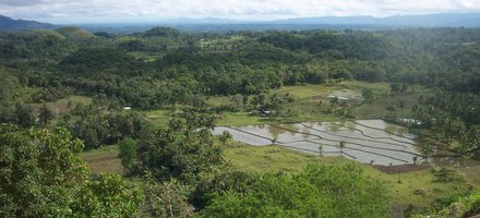 Chocolate Hills Natural Monument