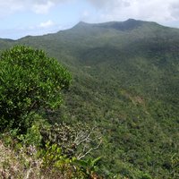 Black River Gorges National Park by Els Slots