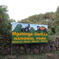 Mgahinga Gorilla National Park by Els Slots