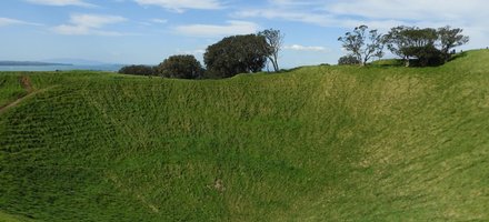 Auckland Volcanic Fields