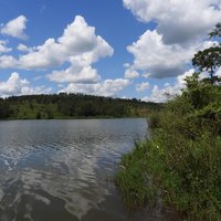 Rwihinda, lac aux oiseaux
