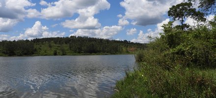 Rwihinda, lac aux oiseaux