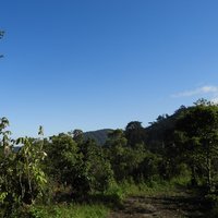 Le parc national de la Kibira