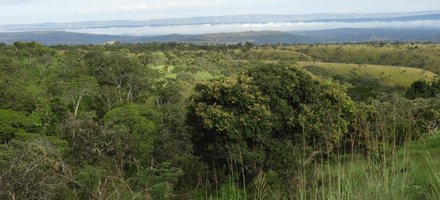 Le parc national de la Ruvubu