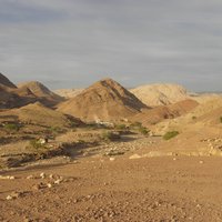 Dana Biosphere Reserve