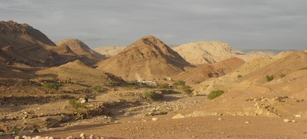 Dana Biosphere Reserve